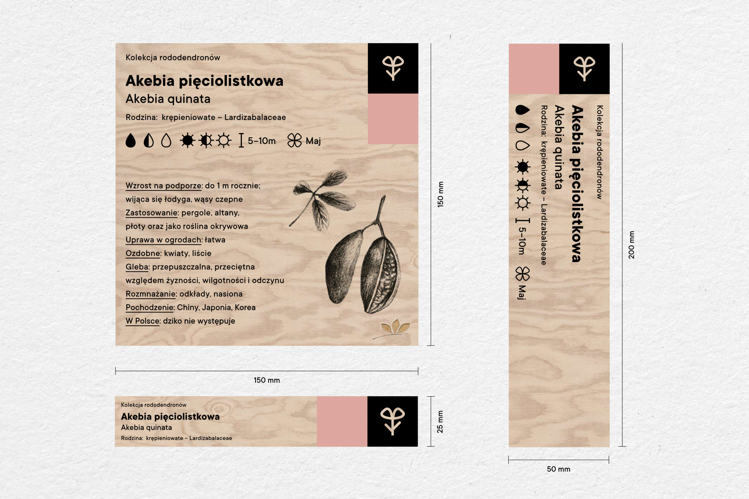 stuchlik_libor_botanicka_02